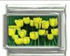 Italian Charms Modul - Tulpen
