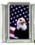 Italian Charms Modul - Adler vor USA Flagge
