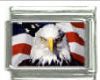 Italian Charms Modul - USA  Adlerkopf