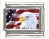 Italian Charms Modul - USA  Adlerkopf