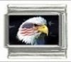 Italian Charms Modul - USA  Adlerkopf