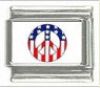 Italian Charms Modul - USA