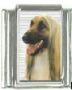 Italian Charms Modul Hunde - Afghane