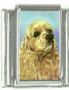Italian Charms Modul Hunde - Cocker Spaniel