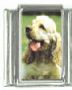 Italian Charms Modul Hunde - Cocker Spaniel