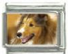 Italian Charms Modul Hunde - Collie