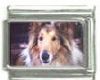 Italian Charms Modul Hunde - Collie