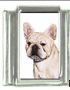 Italian Charms Modul Hunde - Franz�sische Bulldogge