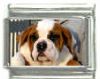 Italian Charms Modul Hunde - Bernhardiner